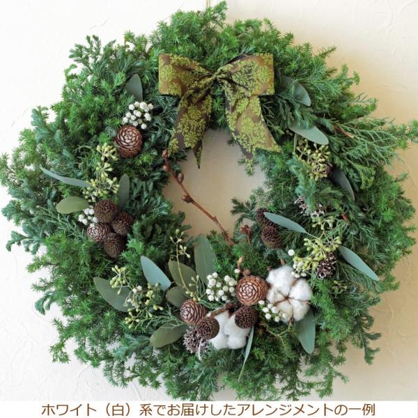 NX}X[X   [X Xmas v[g  O    Mtg    bh zCg 2025 tbV[X 32cm