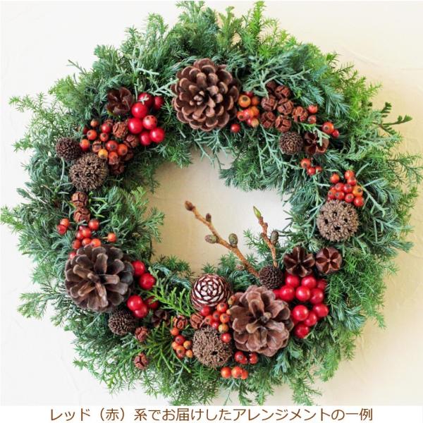 NX}X[X   傫 tbV [X  v[g t[AW Mtg NX}X  zCg bh 2025 Xmas 37cm