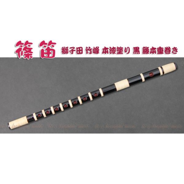 beautiful-music_10003743