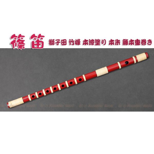 beautiful-music_10003751