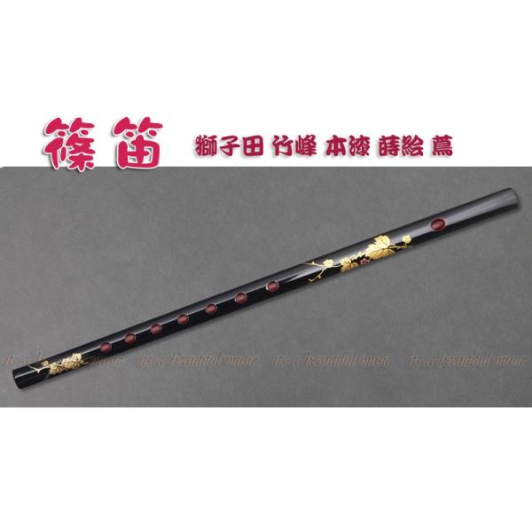 beautiful-music_10004095