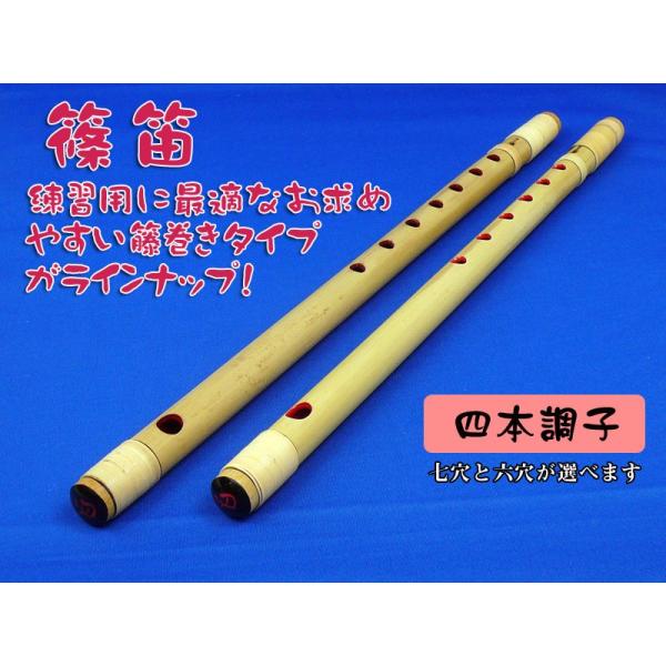 beautiful-music_10005293