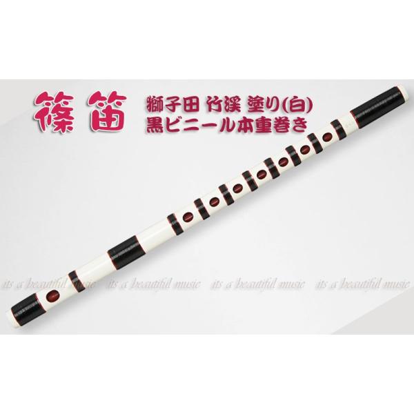 beautiful-music_10009263