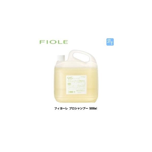 フィヨーレ プロシャンプー 5000ml + プロトリートメント 5000ml Amazon | フィヨーレ プロシャンプー 5000ml | フィヨーレ(FIOLE