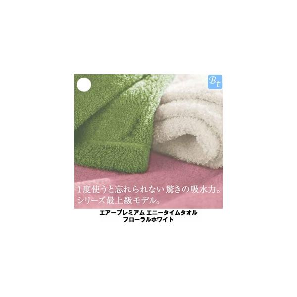 ̋z Q GA[v~A^I t[zCg Gj[^C 34×120cm