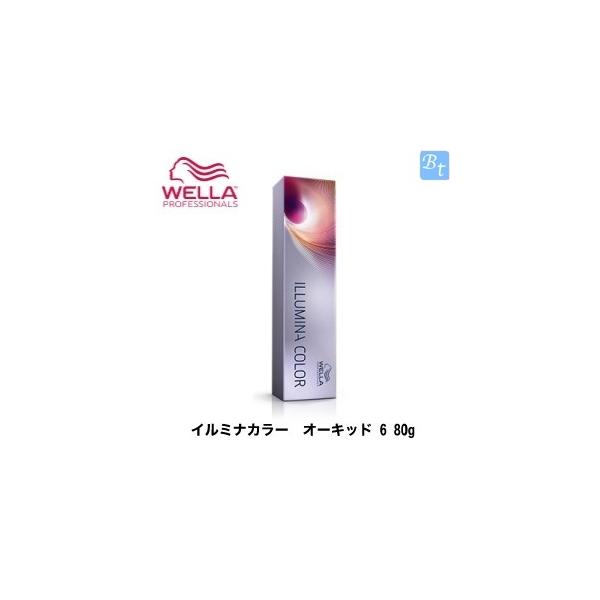 EG C~iJ[ I[Lbh 6 1 80g wAJ[ J[ Ɩp Tꔄi