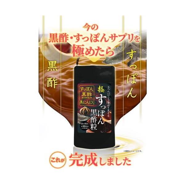 極・すっぽん黒酢粒 約3ヶ月分 90粒 RoyalBS 公式 サプリ スッポン 黒にんにく 黒ニンニク アミノ酸 クエン酸 コラーゲン 日本製 大容量 送料無料