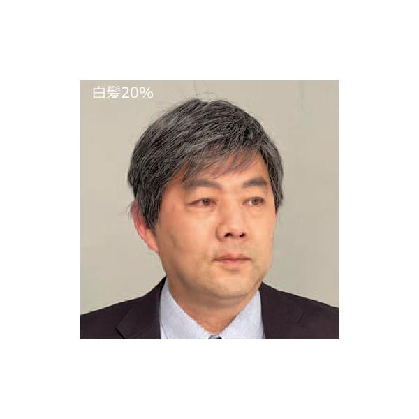 帽子感覚 お手軽フルウィッグ 全2色 耐熱ウィッグ メンズ 紳士 シニア 男性 大人 敬老の日 黒髪 白髪 メッシュ かつら カツラ 鬘 白髪 混じり　lo　p24656