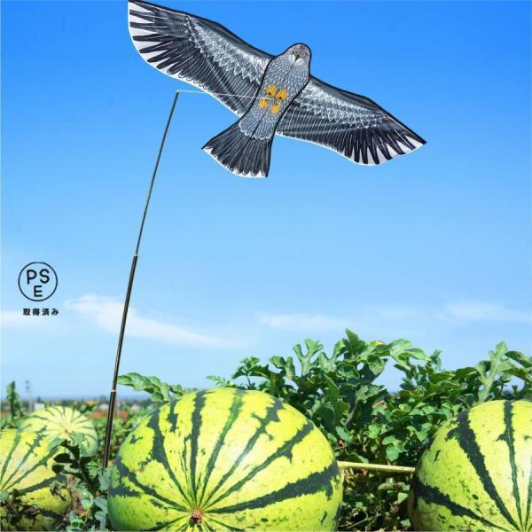 ご注意ください。商品自体はランダムに発送され、画像と異なる場合がありますので、お客様はご確認の上、ご購入ください。鳥よけ カイト 鷹 軽量丈夫 防鳥具 鳥追い 畑 植物保護 農業用 カイト鷹 1.5m凧 4m