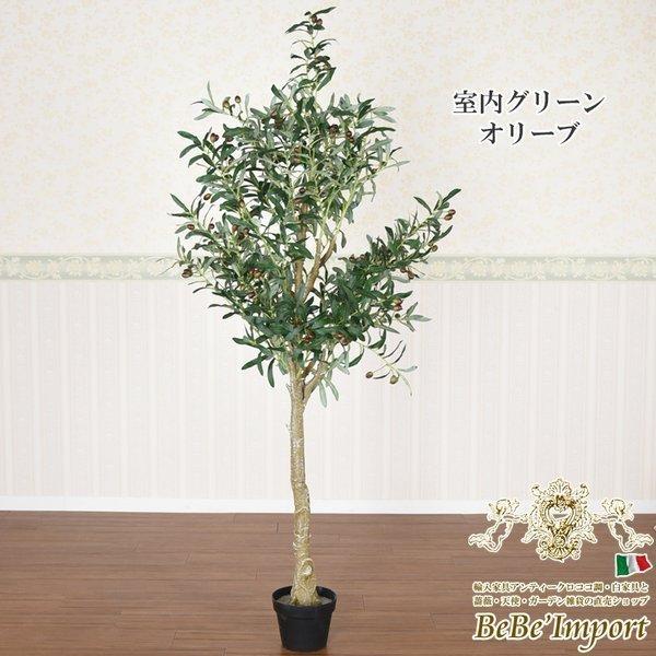 鉢 おしゃれ 大型 オリーブ みんな探してる人気モノ