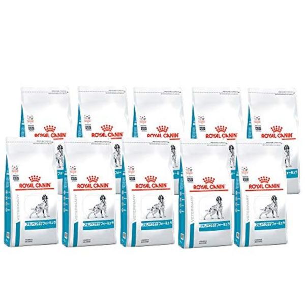 ロイヤルカナン 食事療法食 犬用 アミノペプチド フォーミュラ 1kg×10袋ケース販売 :20220325205743-00127:BeC Depot - 通販 - Yahoo!ショッピング ロイヤルカナン 食事療法食 犬用 アミノペプチド フォーミュラ 1kg×10袋ケース販売 :20220325205743-00127:BeC Depot - 通販 - Yahoo!ショッピング