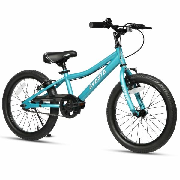Bilbo 子供MTBマウンテンバイク ファットタイヤ自転車 男の子 Bilbo 子供MTBマウンテンバイク ファットタイヤ自転車 男の子
