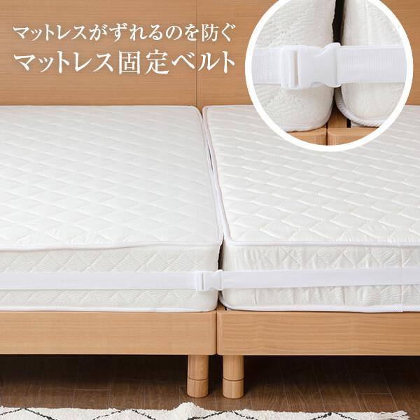 [ 商品サイズ ]幅5cm × 長さ1000cm × 高さ14cm[ 素材・仕様 ] ・バンド ポリプロピレン100％・バックル ポリアセタール100％[ 備考 ] ・配達日指定ＯＫ！・玄関先までのお届けとなります。固定ベルト 固定バンド ...