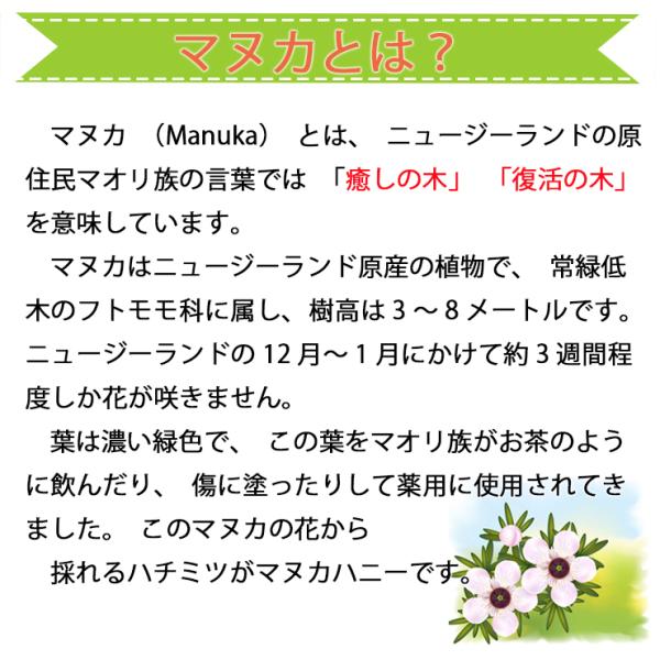 マヌカハニー アラタキマヌカ ５００ｇ 送料無料 １００ ピュア １３時までのご注文 即日発送 マヌカ はちみつ Buyee Buyee Japanese Proxy Service Buy From Japan Bot Online