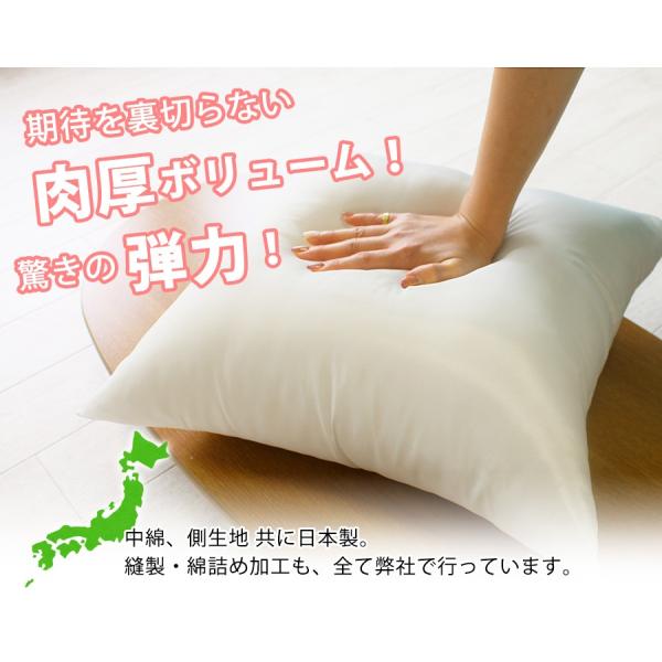日本製 ヌードクッション 肉厚 50×50 国産 東レ綿使用 クッション 中身 セアテ 背当て 佐川またはヤマト便 :0000000171:ビーバイ(beeb-y)クッションの工場 - 通販 - Yahoo!ショッピング 日本製 ヌードクッション 肉厚 50×50 国産 東レ綿使用 クッション 中身 セアテ 背当て 佐川またはヤマト便 :0000000171:ビーバイ(beeb-y)クッションの工場 - 通販 - Yahoo!ショッピング