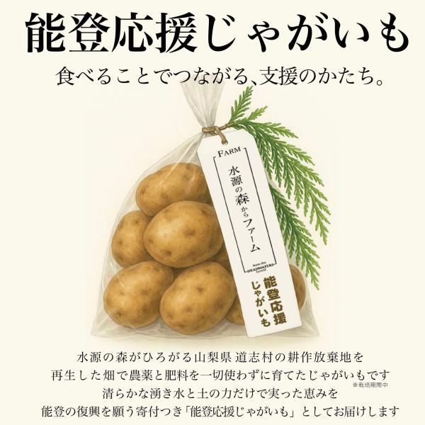 能登応援じゃがいも 1.2kg : Bee farm道志 - 通販 - Yahoo!ショッピング