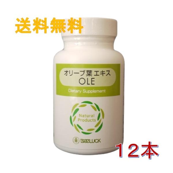 12月1日から12月31日まで期間限定セール実施中】BEELUCK オリーブ葉