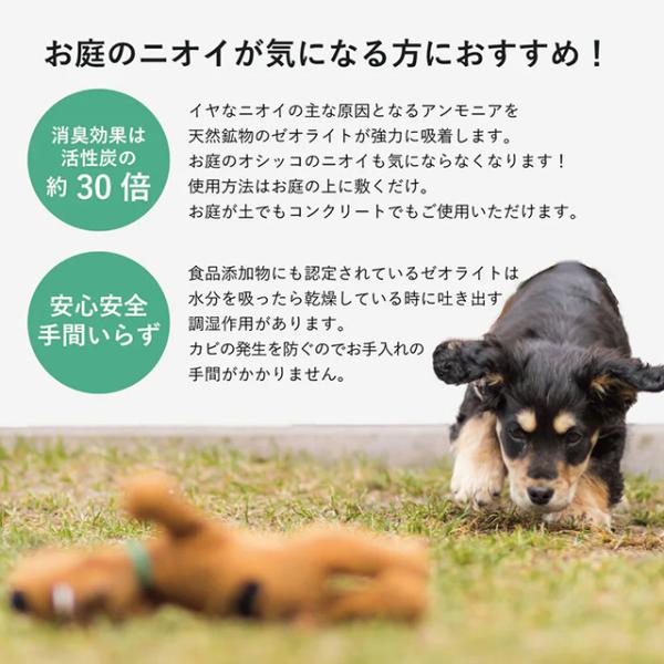 �����������L�b������P�b��e�ʁI20kg�V�R�z�΃[�I���C�g  �b�j�I�C�����͋z���I����������d�l��DIY�I�嗱4.0�`8.0���� ���i�摜3