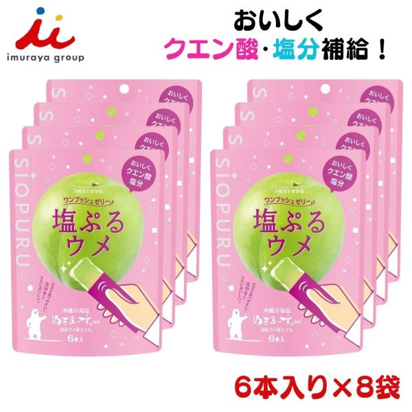 井村屋 ワンプッシュゼリー 塩プルウメ 15g×6本入り8袋 25314 暑さ対策 塩分補給 ランニング マラソン スポーツ 外出のおやつ 運動会