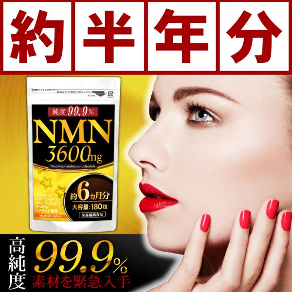 のぶ　マム6本　L P6本 混合 のぶ マム6本 L P6本 混合 楽天市場】【全品対象☆まとめ買い3点