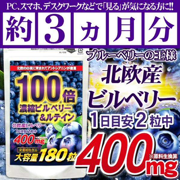ビルベリー ルテイン サプリ サプリメント ブルーベリー 北欧産 送料無料 濃縮ビルベリー＆ルテイン(約3ヵ月分/180粒）  アントシアニン