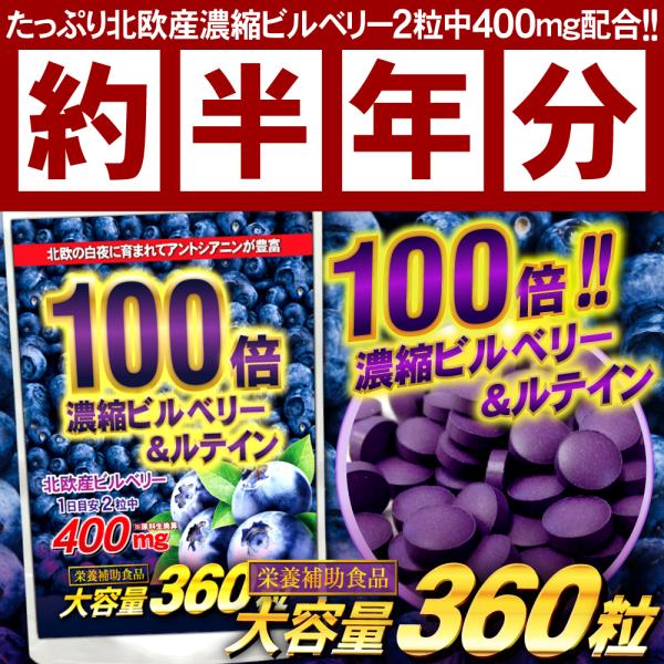 ビルベリー サプリ サプリメント ルテイン ブルーベリー 北欧産 送料無料 濃縮ビルベリー＆ルテイン(約6ヵ月分/360粒)