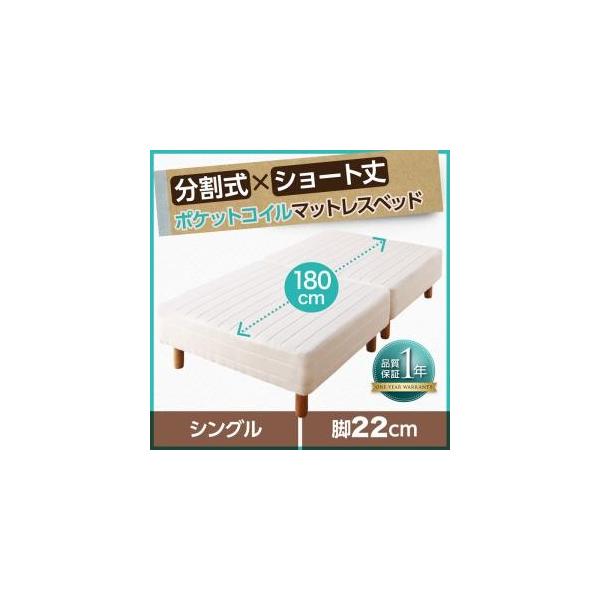 V[g䕪 rt}bgXxbh |Pbg}bgXxbhxbhpbhEV[c͕ʔVO V[g r22cm