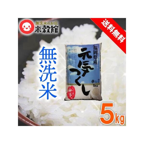 5kg 無洗米 福岡の新しいお米「元気つくし」 送料無料 一般米※ 令和7