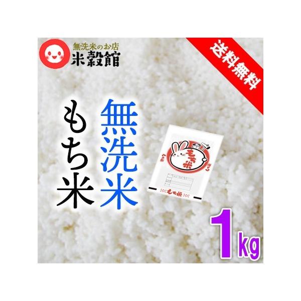 もち米 10kg 無洗米 送料無料 餅米 九州産 ヒヨクモチ 5kg×2