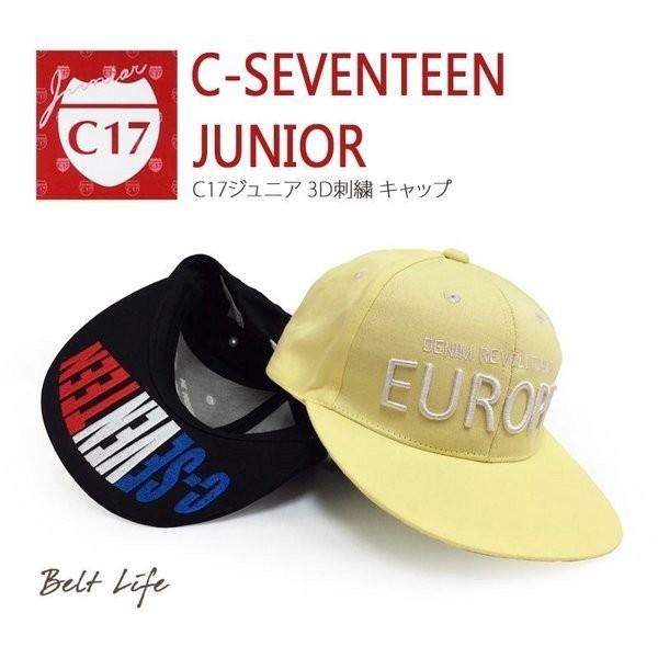 フルート 頬骨 小説家 ジュニア 帽子 Sozoku Center Jp