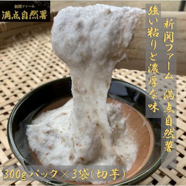 掘りたて！！ 天然 自然薯 約2kg 鹿児島県産 山芋 無農薬 野菜 掘りたて！！ 天然 自然薯 約2kg 鹿児島県産 山芋 無農薬 野菜