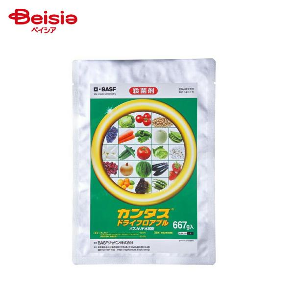 BASF カンタスドライF 667g | カンタスドライF 殺菌剤 BASF 園芸 農業 667g 病気対策