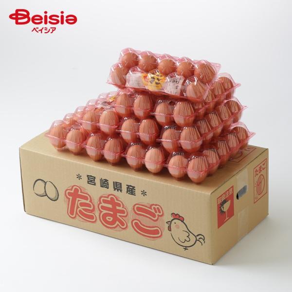 東養鶏場 えびの高原卵 10個入×10パック