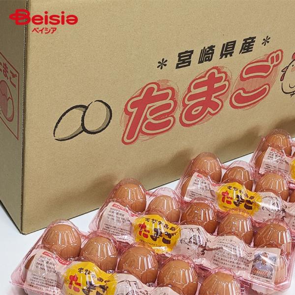 東養鶏場 えびの高原卵 10個入×20パック フリーサイズ