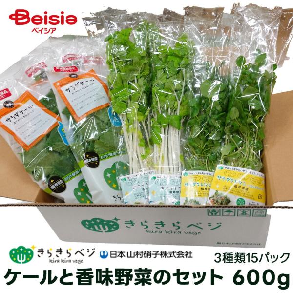 日本山村硝子 ケールと香味野菜のセット葉物野菜15パック