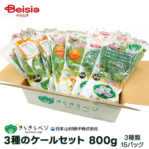 日本山村硝子 3種のケールセット葉物野菜15パック