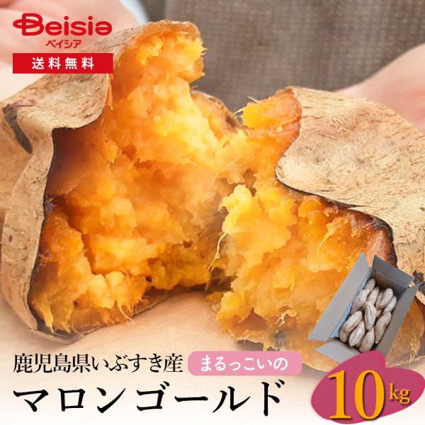 鹿児島県いぶすき産マロンゴールド（まるっこいの）10kg