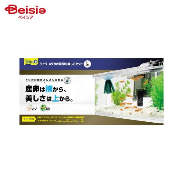 他サイト： スペクトラム ブランズ ジャパン テトラ メダカの繁殖を楽しむセット L ペットの商品画像