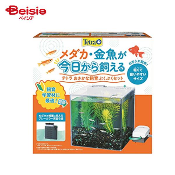 Tetra スペクトラム ブランズ テトラ おさかな飼育 ぶくぶく