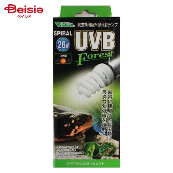 他サイト： ビバリア スパイラルUVB フォレスト 26W ペット | 爬虫類 ライト UVB フォレスト 熱帯 森林系 紫外線 スパイラル vivaria テラリウムの商品画像