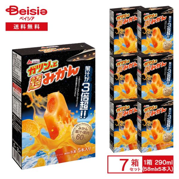 赤城乳業 ガツン、と超みかん 290ml（58ml×5本入）×7箱