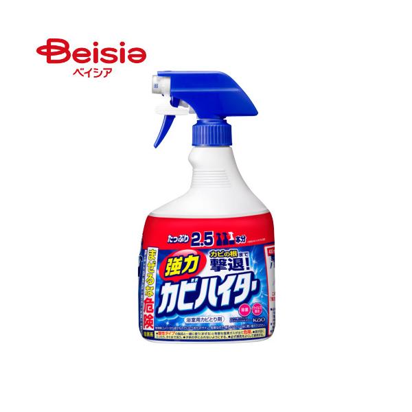 他サイト： 花王 強力カビハイターハンディスプレー特大1000mlの商品画像