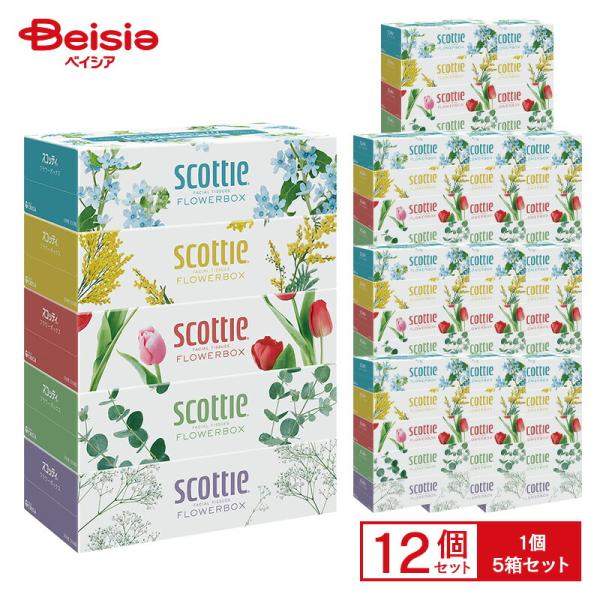 スコッティ ティシュー フラワーボックス5箱パック×12セット(1箱500枚(250組)×12個