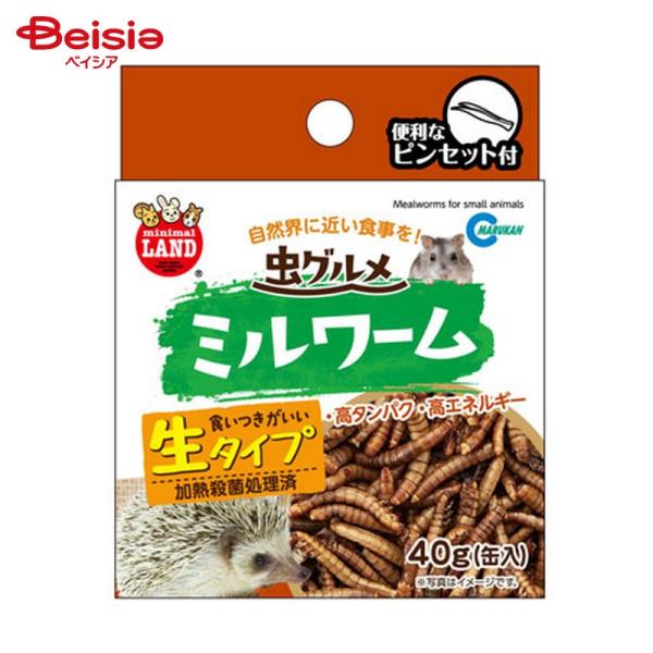 他サイト： マルカン 虫グルメ ミルワーム ML-163 40g ペットの商品画像