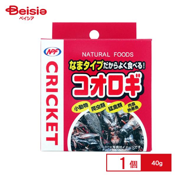 他サイト： ナチュラルペットフーズ コオロギ40g×24 まとめ買い ペット | コオロギ 乾燥コオロギ 小鳥用おやつ タンパク質補給 まとめ買いの商品画像