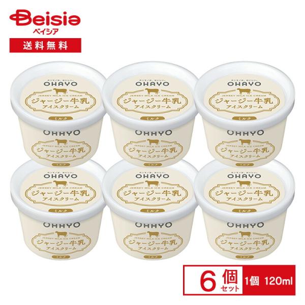 オハヨー乳業 ジャージー牛乳アイスクリーム ミルク 120ml×6個　【 爆買 】