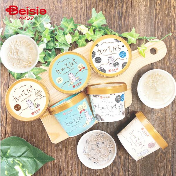 弘乳舎 九州そだちアイスクリームセット SI9 | アイスクリーム セット