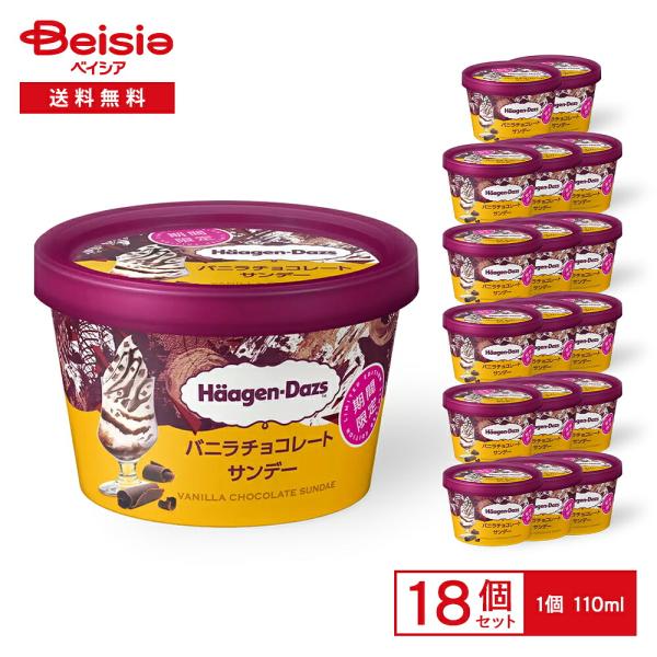 ハーゲンダッツ ミニカップバニラチョコレートサンデー 110ml×18個 | アイスクリーム バニラ チョコレートソース チョコチップ カップアイス 濃厚 贅沢 ご褒美