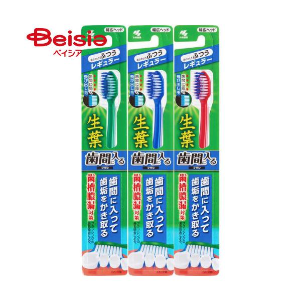 他サイト： 小林製薬 生葉歯間に入るブラシレギュラーふつう1本 | 歯間ブラシ 生葉 レギュラー ふつう 小林製薬 歯垢 虫歯予防の商品画像