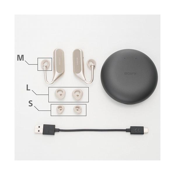 xperia ear duo 自転車